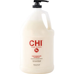 Chi For Dogs